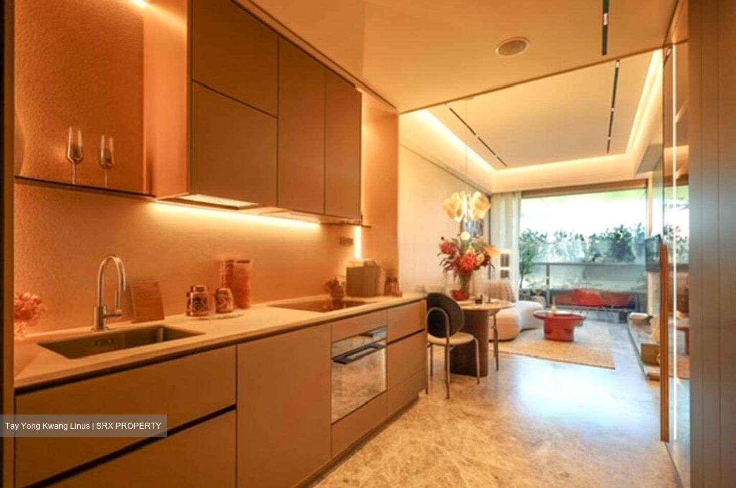 Marina View (D1), Condominium #460918161